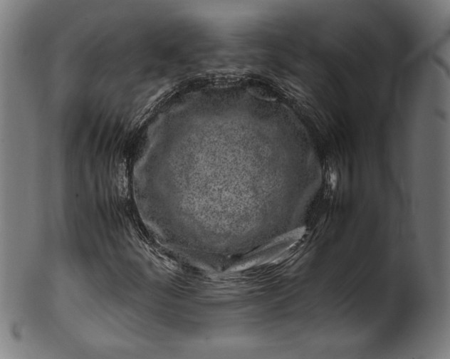 X0000099931252200806061445