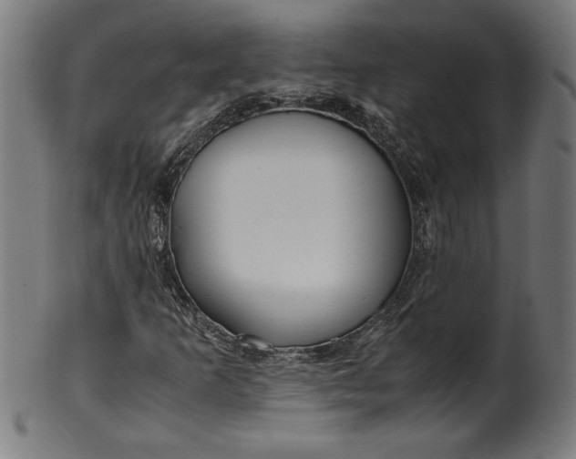 X0000099931253200806061445