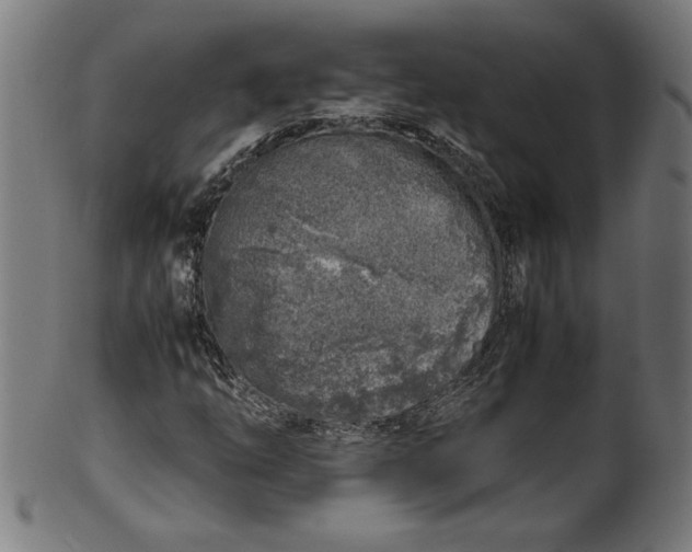 X0000099931254200806061445