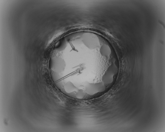 X0000099931255200806061445