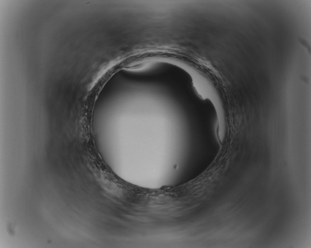 X0000099931256200806061445