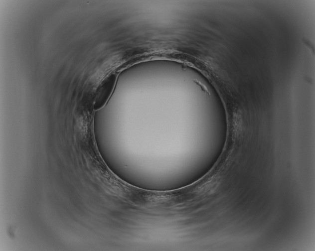 X0000099931257200806061445