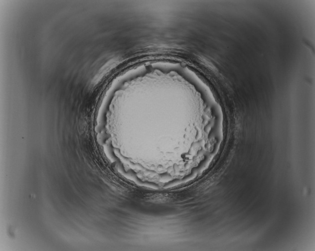 X0000099931259200806061445