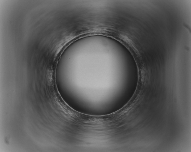 X0000099931260200806061445