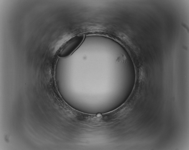 X0000099931261200806061445