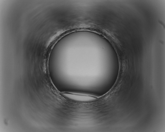 X0000099931262200806061445