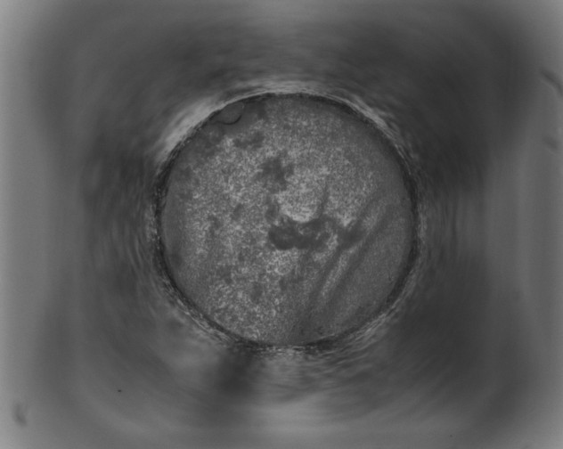 X0000099931263200806061445