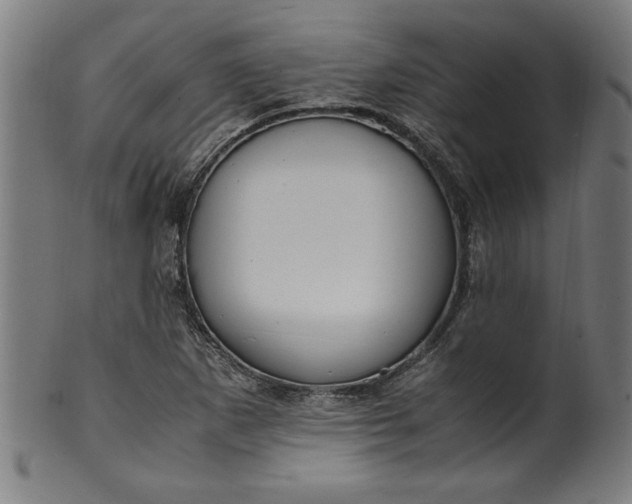 X0000099931265200806061445