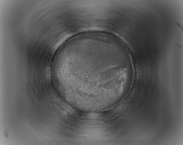 X0000099931266200806061445