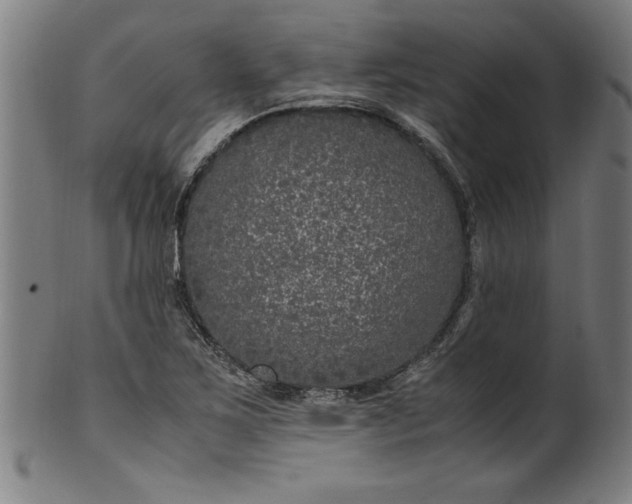 X0000099931267200806061445