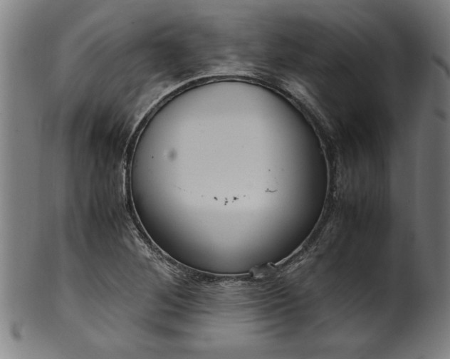 X0000099931268200806061445