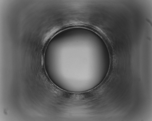 X0000099931269200806061445