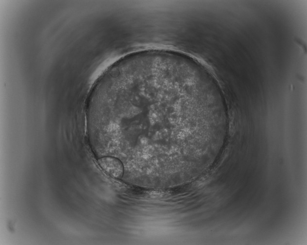 X0000099931271200806061445