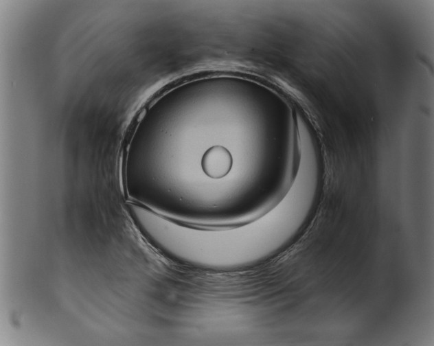 X0000099931272200806061445