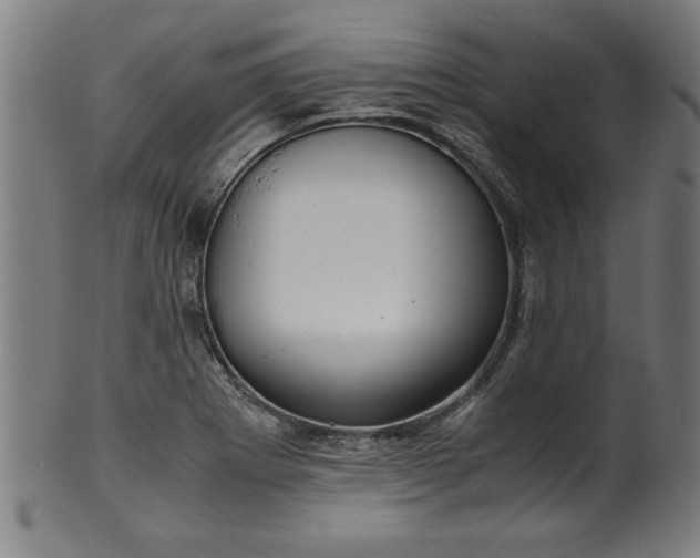 X0000099931273200806061445