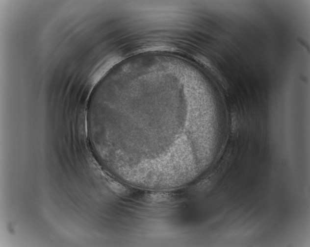 X0000099931274200806061445