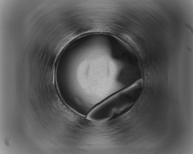 X0000099931276200806061445