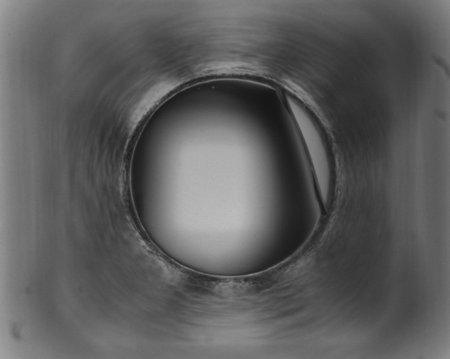 X0000099931277200806061445