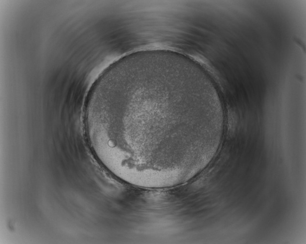 X0000099931278200806061445