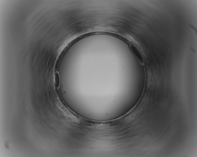 X0000099931280200806061445