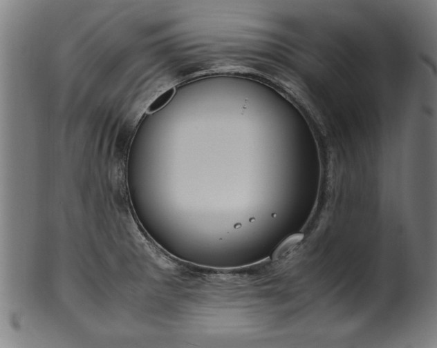 X0000099931281200806061445