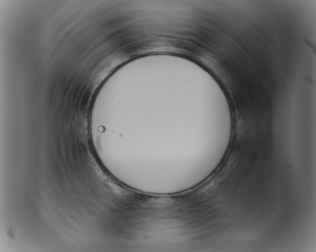 X0000099931282200806061445