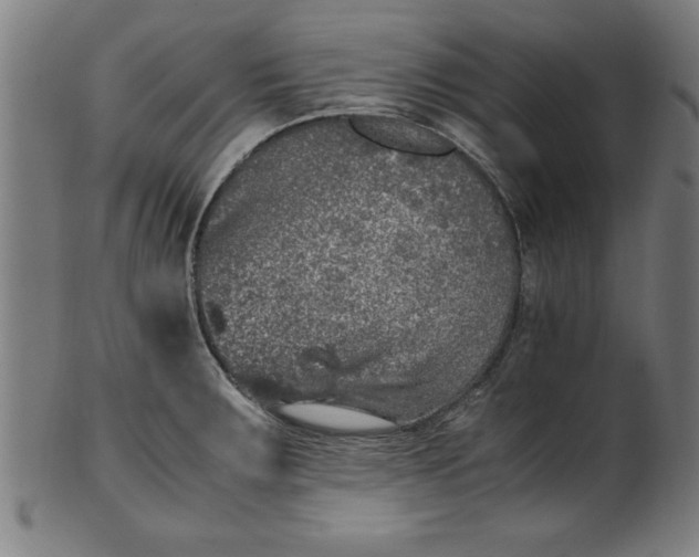 X0000099931283200806061445