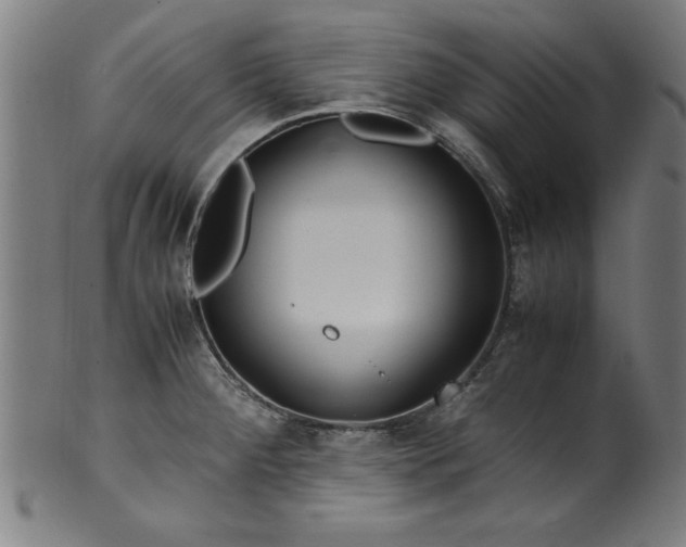 X0000099931284200806061445