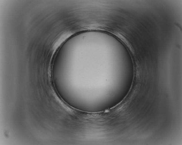 X0000099931285200806061445