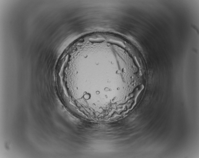 X0000099931287200806061445