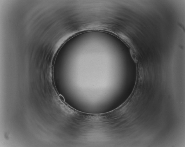 X0000099931288200806061445