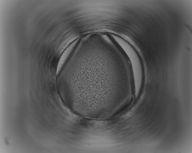 X0000099931289200806061445