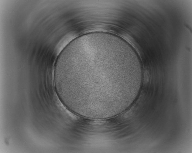 X0000099931290200806061445