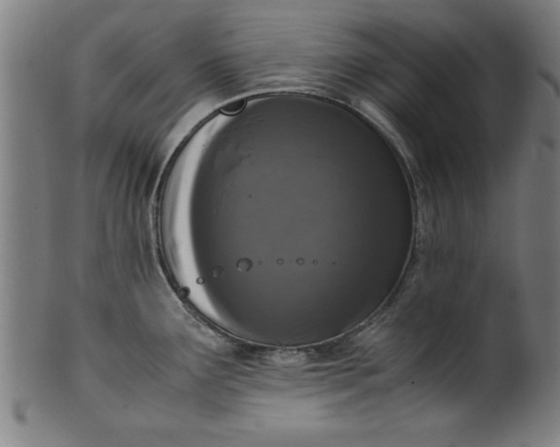 X0000099931291200806061445