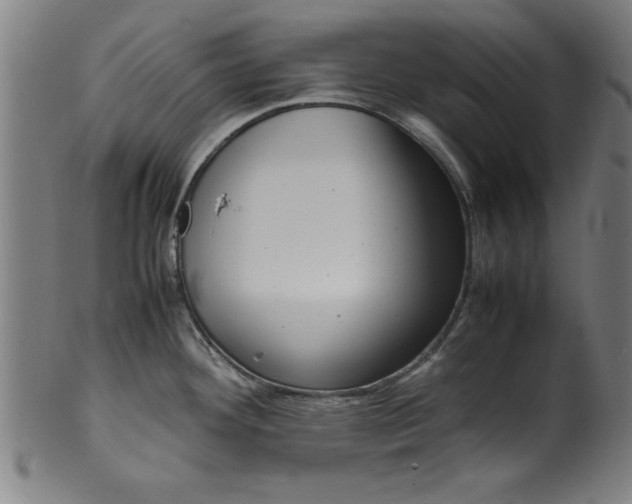 X0000099931292200806061445