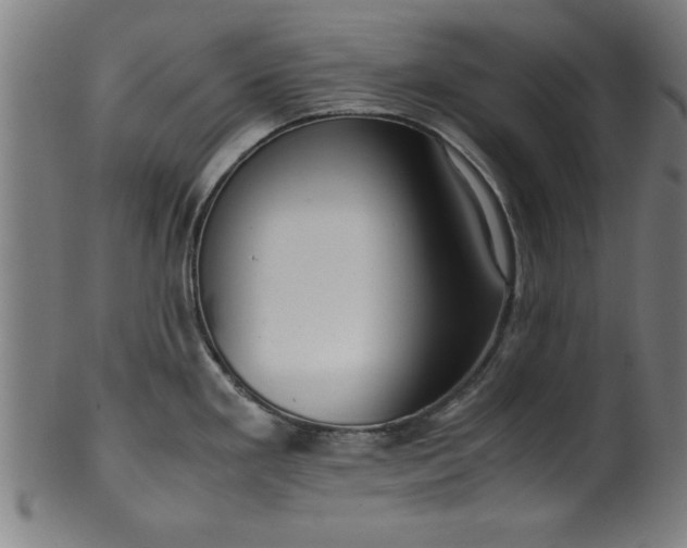 X0000099931293200806061445