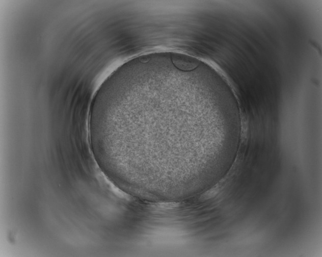 X0000099931294200806061445