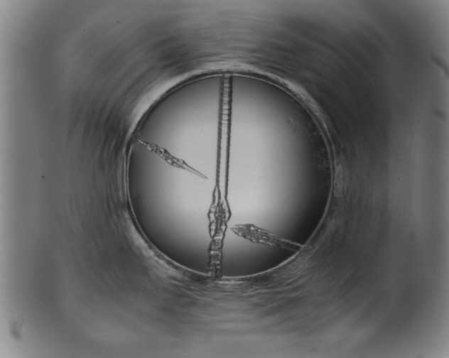 X0000099931295200806061445