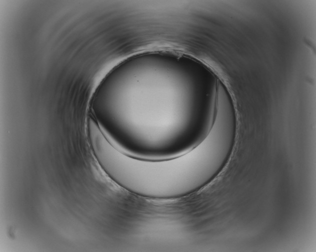 X0000099931296200806061445