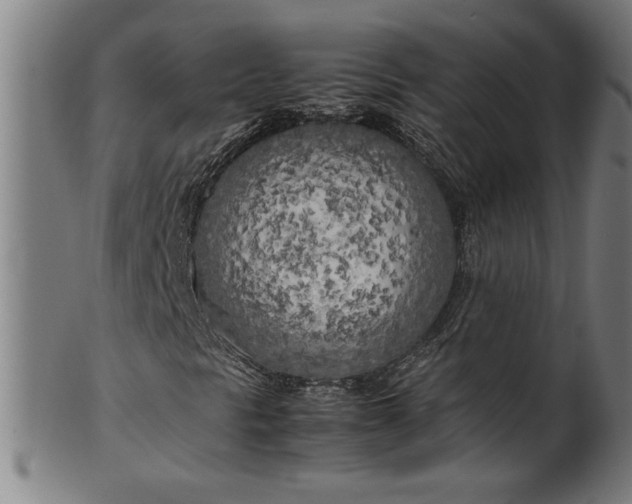 X0000099931297200806061444