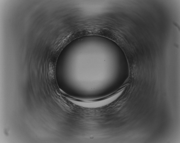 X0000099931298200806061444