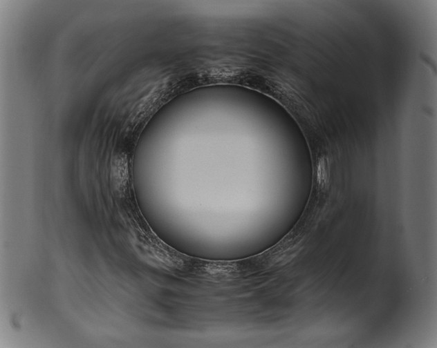 X0000099931299200806061444