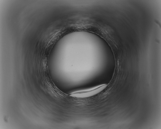 X0000099931300200806061444