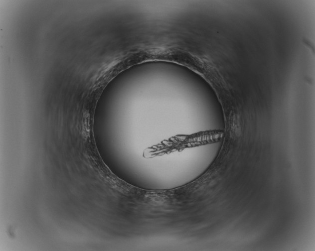 X0000099931301200806061444