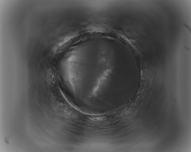 X0000099931303200806061444