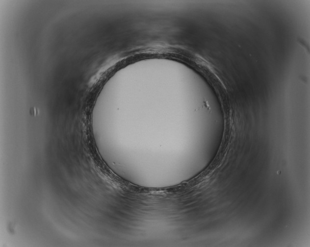 X0000099931304200806061444