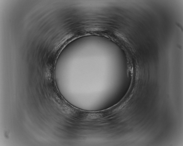 X0000099931305200806061444