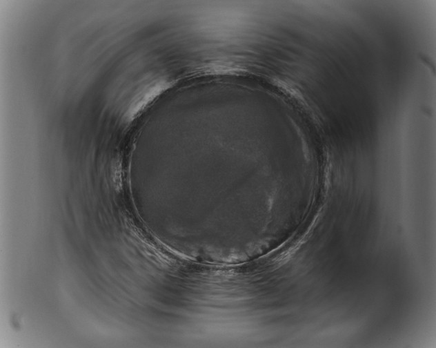 X0000099931306200806061444