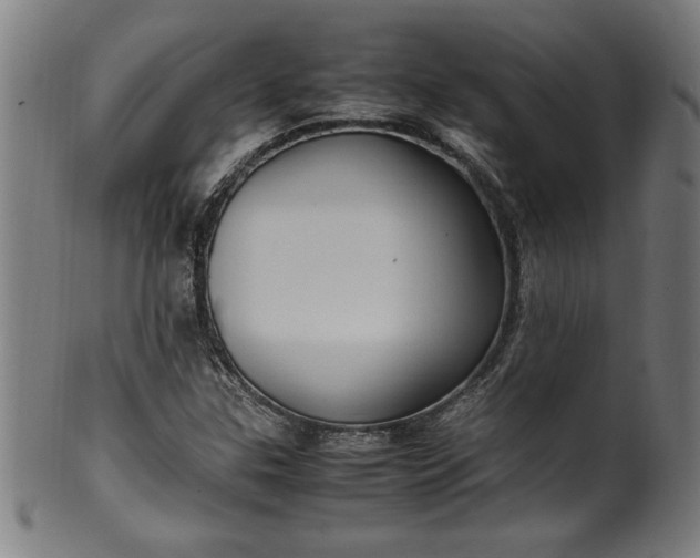 X0000099931307200806061444