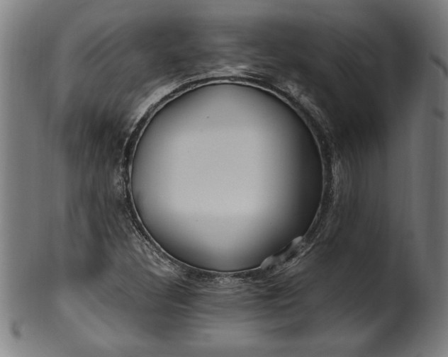 X0000099931308200806061444